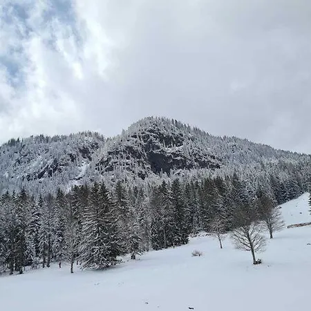 Flat Edelweiss In With Dream View Bad Mitterndorf